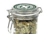 Meowijuana Catnip Jar of Buds